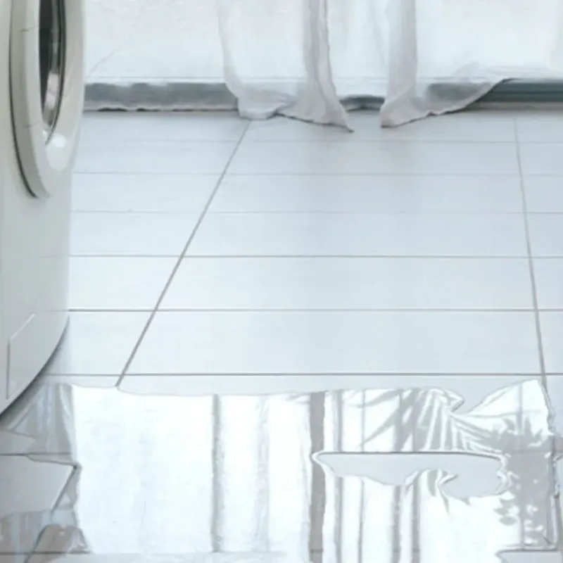 Appliance Leak Cleanup in Heber Springs, AR