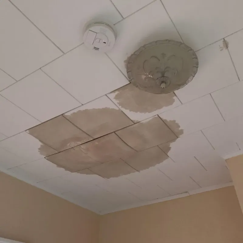 Ceiling Water Damage Repair in Heber Springs, AR